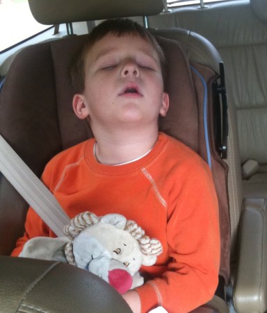 Lion has been there for some of the best naps and longest car rides.