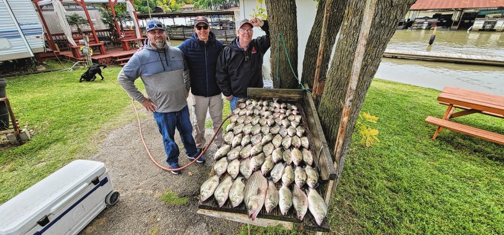 Lyle Wallace, Lance Wallace and Lee Wallace stand beside a wooden table covered with 81 bass laid out in rows.