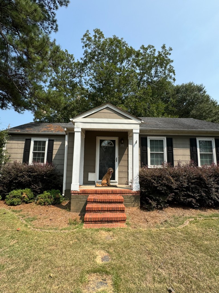 Small house with a dog on the porch