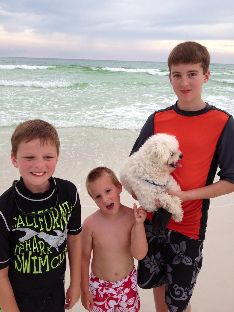 Three boys and their dog at the beach