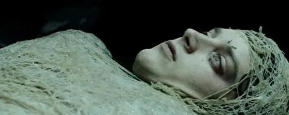 Frodo Baggins covered in spider webs