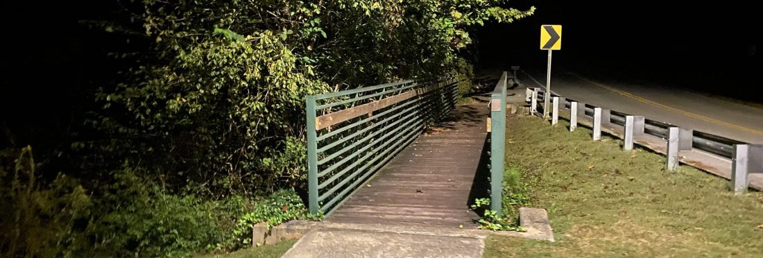 A pedestrian bridge with bushes growing up around it in the pre-dawn hours.