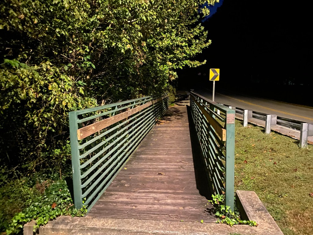 A pedestrian bridge with bushes growing up around it in the pre-dawn hours.