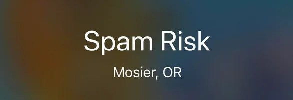 iPhone screen displaying an incoming call with the words "Spam Risk"