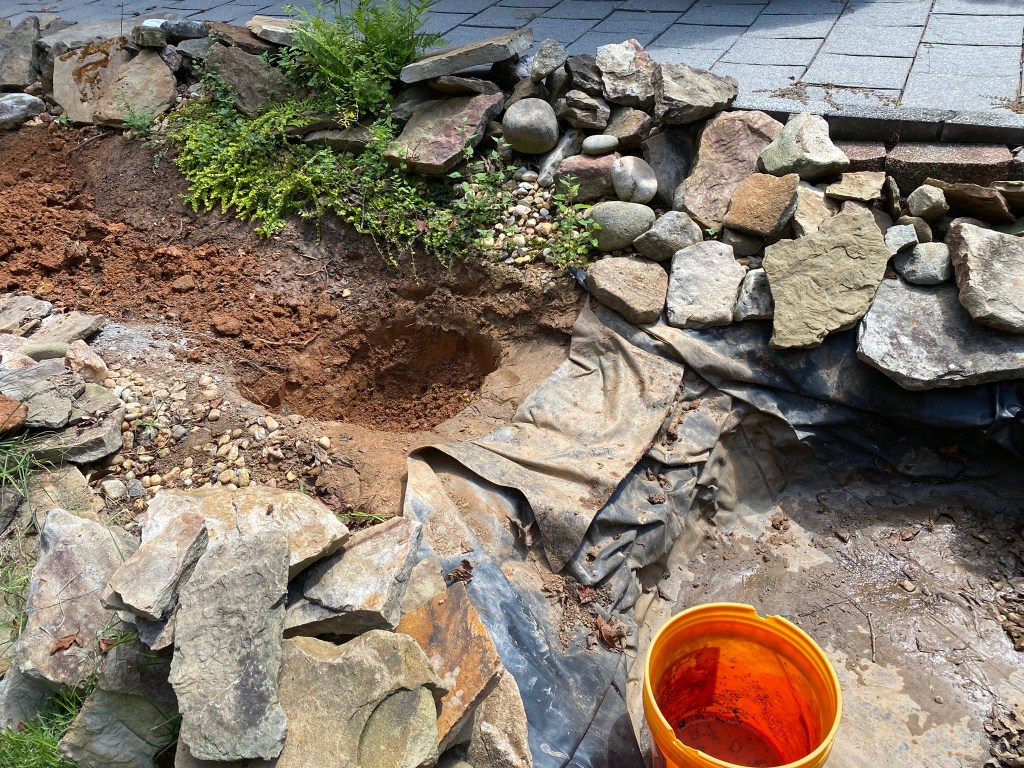 Old streambed and drained pond for a backyard water feature