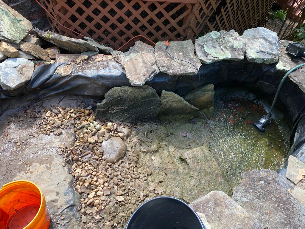 The bottom a drained pond