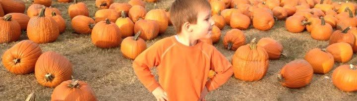 A boy in an orange sweatshirt standing in a field of pumpkins